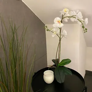 Eine Schoene An Der Birs Appartement
